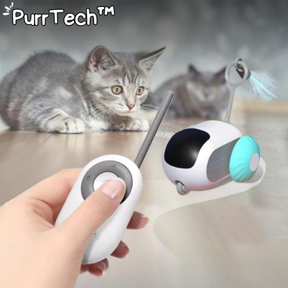 Jouets de chat interactifs