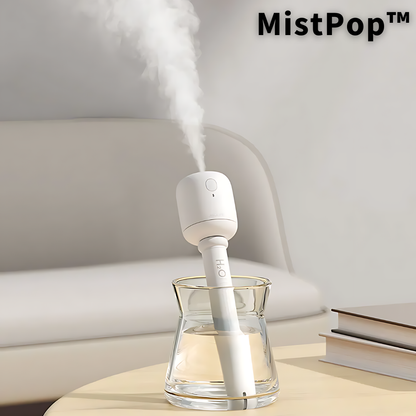 Humidificateur portable