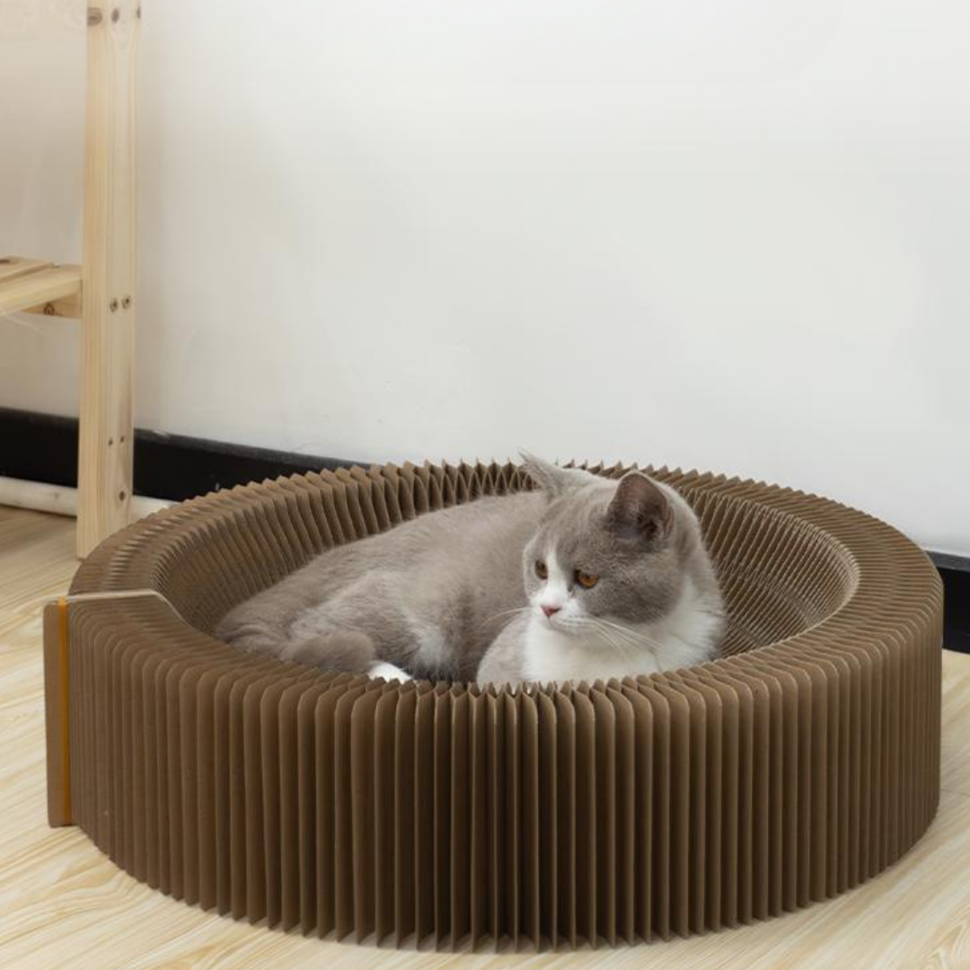 Scratching Board pour les chats