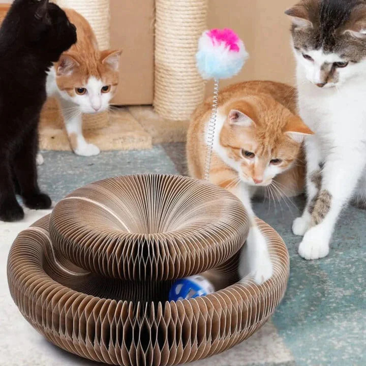 Jouets pour chat