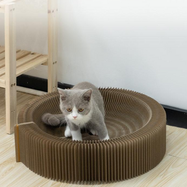 Scratching Board pour les chats