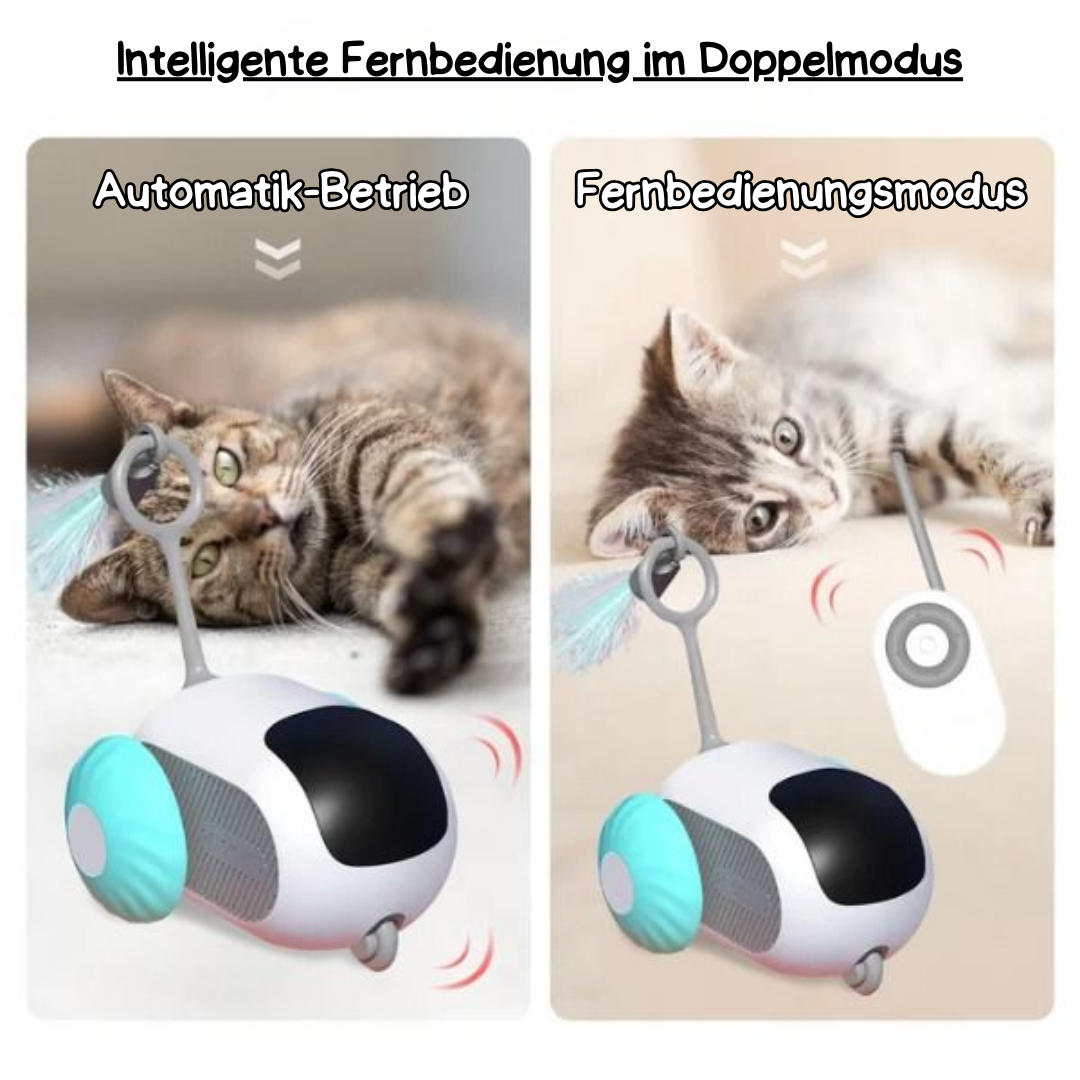 Jouets de chat interactifs