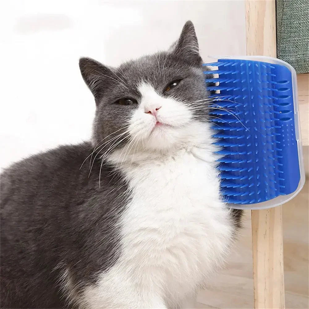 Brosse à chat