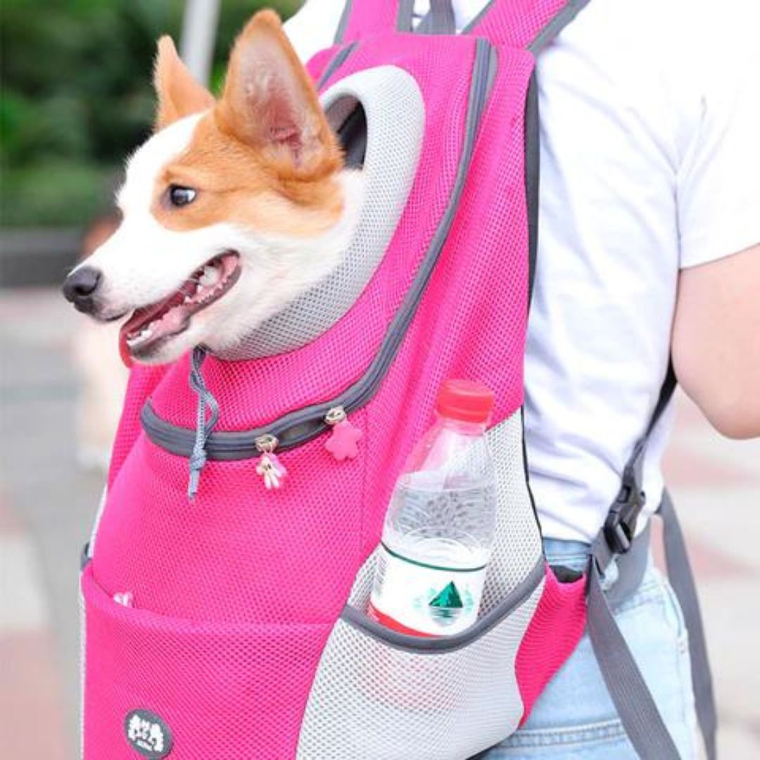 Pawsn’go | Le sac à dos ultime pour les petits chiens et les chats