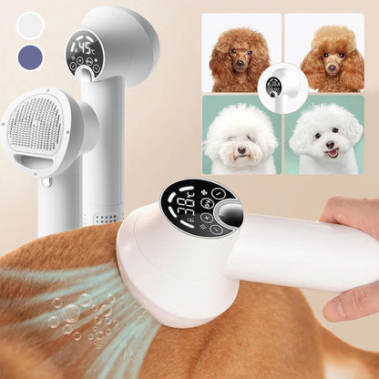 Sèche-cheveux 2 en 1 portable pour animaux de compagnie avec une brosse