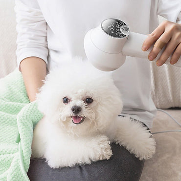 Sèche-cheveux 2 en 1 portable pour animaux de compagnie avec une brosse