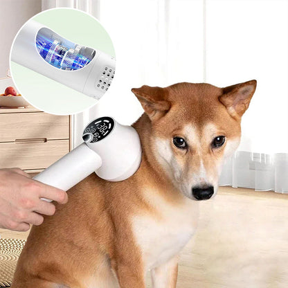 Sèche-cheveux 2 en 1 portable pour animaux de compagnie avec une brosse