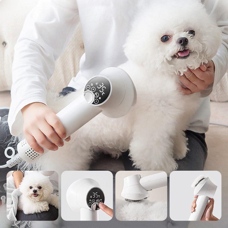 Sèche-cheveux 2 en 1 portable pour animaux de compagnie avec une brosse