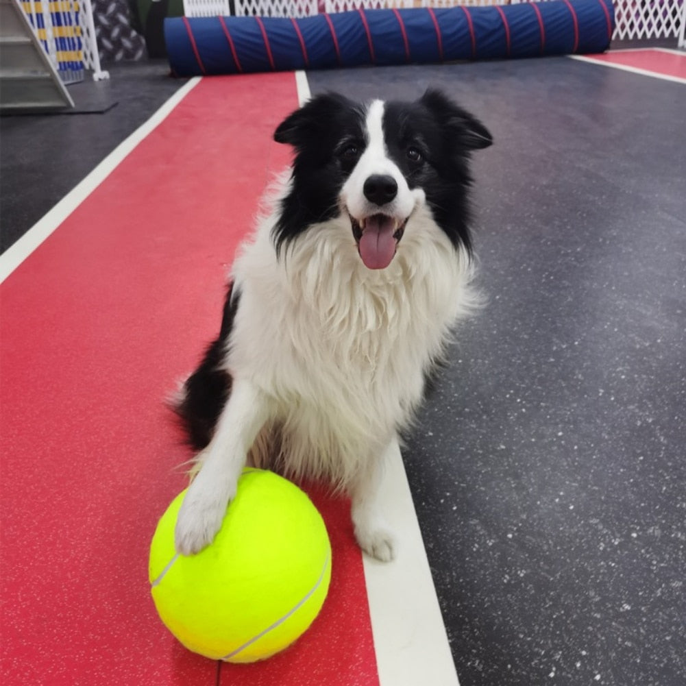 Balle de tennis gonflable | Jouet pour chien