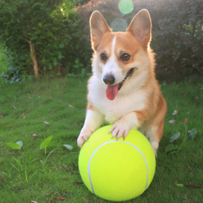 Balle de tennis gonflable | Jouet pour chien