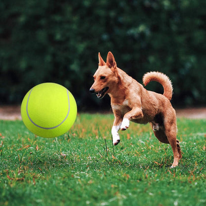 Balle de tennis gonflable | Jouet pour chien