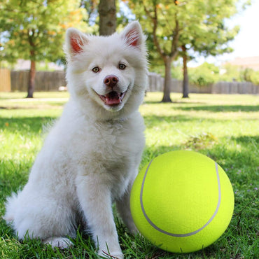 Balle de tennis gonflable | Jouet pour chien