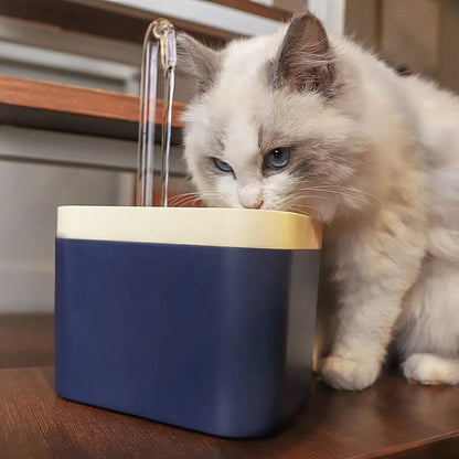 Fontaine de consommation automatique pour animaux de compagnie