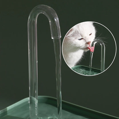 Fontaine de consommation automatique pour animaux de compagnie