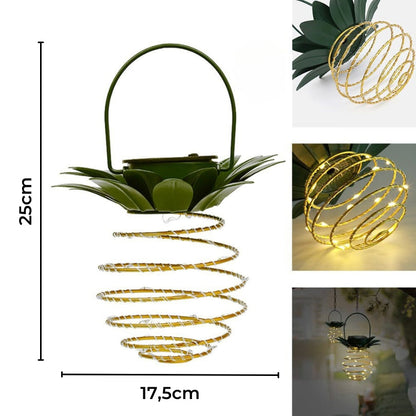 Éclairage de jardin à puissance solaire