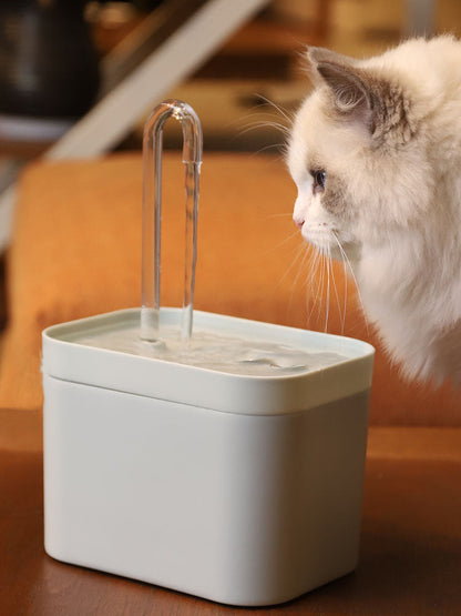 Fontaine de consommation automatique pour animaux de compagnie