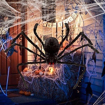 Décoration d'Halloween de l'araignée noire