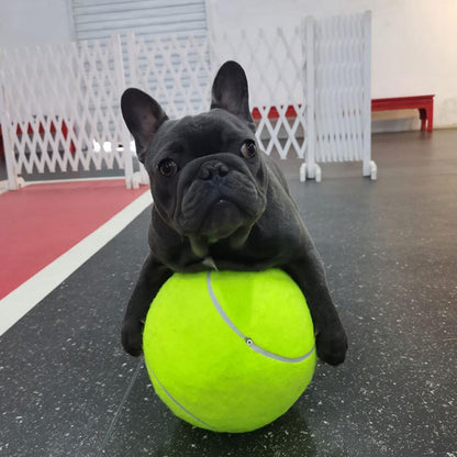 Balle de tennis gonflable | Jouet pour chien